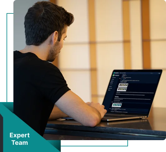 expert wordpress designer in arlington